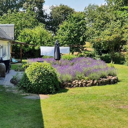 Rolso Retreat Villa Knebel Bagian luar foto
