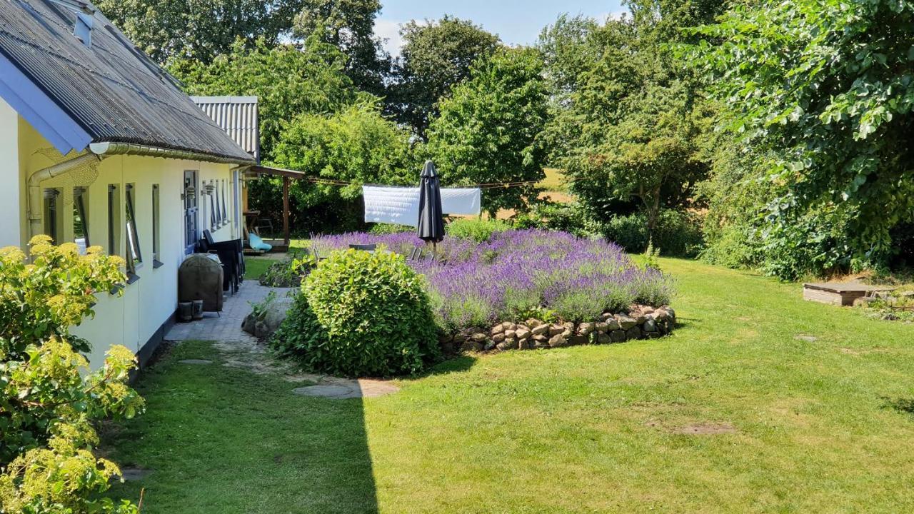 Rolso Retreat Villa Knebel Bagian luar foto
