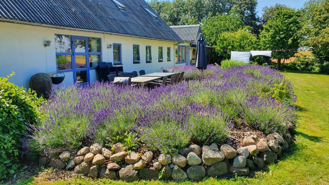 Rolso Retreat Villa Knebel Bagian luar foto